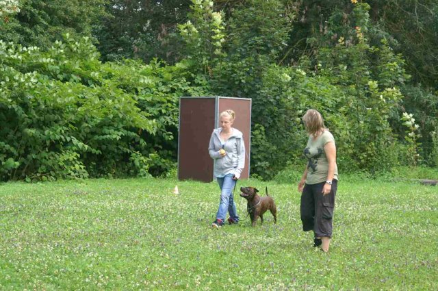 obeissance 2014-08-02